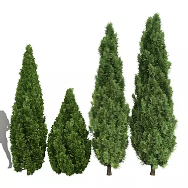 Mountain Juniper 3D Tree Models 3D model image 1 