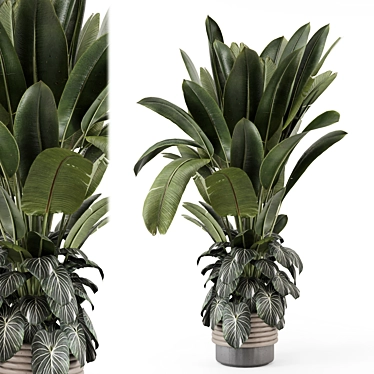 Rusty Concrete Pot Indoor Plants 3D model image 1 