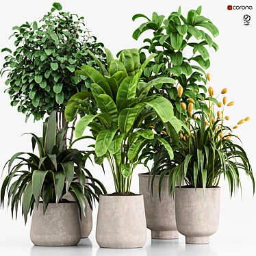 Set of Indoor Plants Icons 3D model image 1 