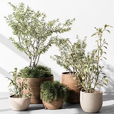 Indoor Greenery Collection: Tree & Bush 3D model image 1 