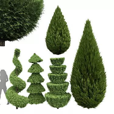 Premium 3D Cypress Tree Models 3D model image 1 