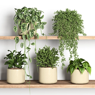 Plant Display Shelf with Greenery 3D model image 1 