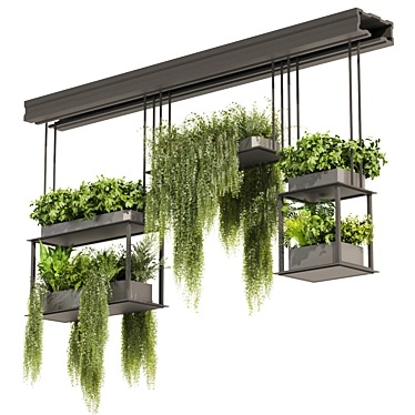 Luxury Hanging Plant Collection Vol. 479 3D model image 1 