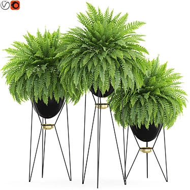 Exotic Plants Collection 916 Grande 3D model image 1 