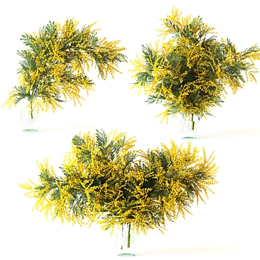 Mimosa Bouquet Collection for 3D 3D model image 1 