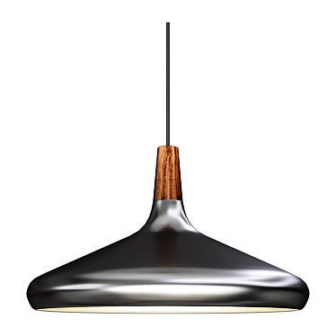 Nori Pendant Lamp Fixture 3D model image 1 