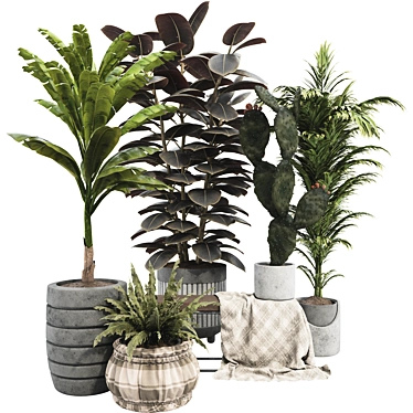 Boho Plant Collection Set 95 3D model image 1 