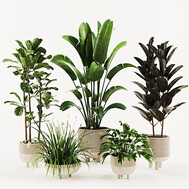 Vibrant 3D Plants Set 20 3D model image 1 