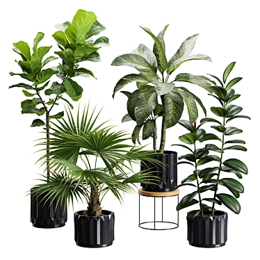 Exotic Indoor Plants Variety Pack 3D model image 1 