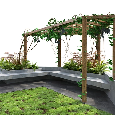 modern garden with pergola