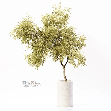 Premium Indoor Plant Model Kit 3D model image 1 