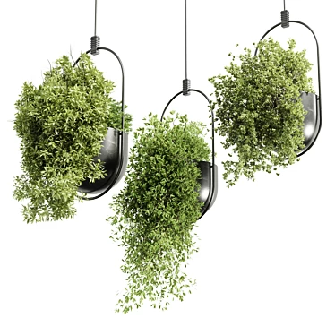 Indoor Hanging Plants Set 377 3D model image 1 