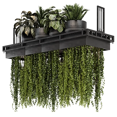  Metal Box Hanging Plants Set 3D model image 1 