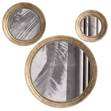 Mango Wood Round Mirrors Set 3D model image 1 