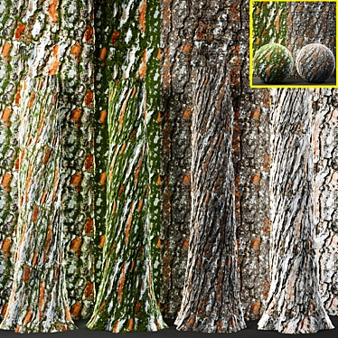 Tree Bark Textures Collection 3D model image 1 