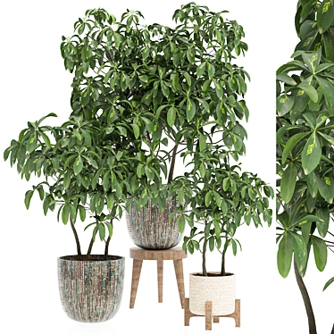 Modern Indoor Plant 3D Model 3D model image 1 