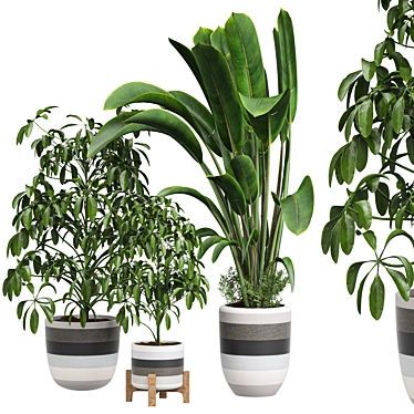 Modern Indoor Plant 3D Model 3D model image 1 