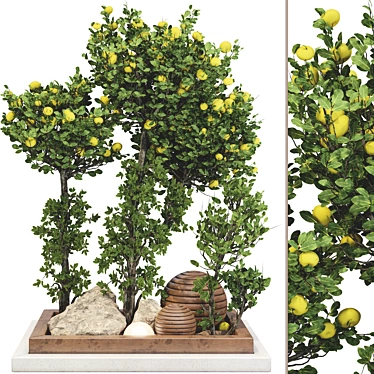 Fruitful Apple Tree Collection 115 3D model image 1 