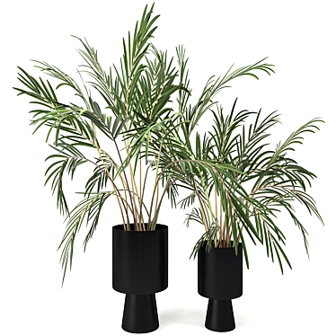 Indoor Plant Set 6