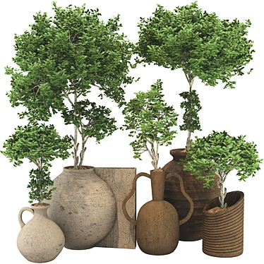 Wooden Pot Decorative Tree Collection 3D model image 1 