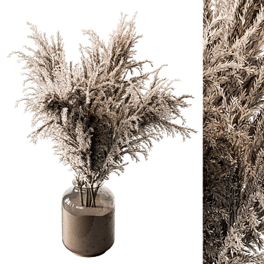  Pampas Dry Plants Bundle 3D model image 1 