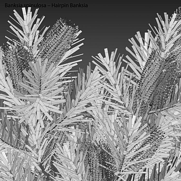 Versatile 3D Plant Models Pack 3D model image 1 