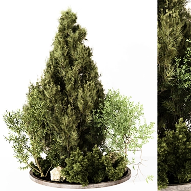 Outdoor Plant 230 - 2015 Edition 3D model image 1 