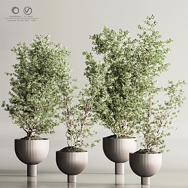 Modern Indoor Plant Set 109 3D model image 1 