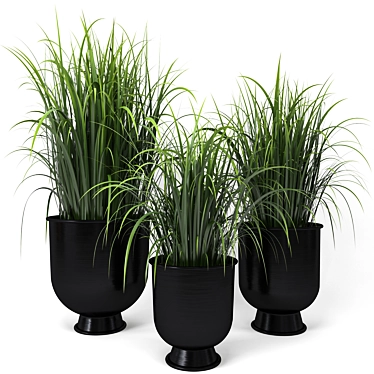 Modern Black Planter Set 3D model image 1 