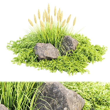 Ultimate Outdoor Plants Collection Vol.205 3D model image 1 