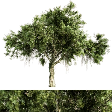 176-Piece Oak Tree Set 3D model image 1 