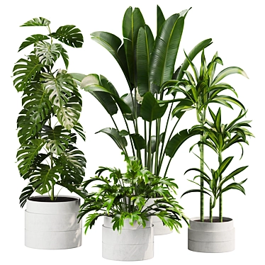 Variety of 30 Plant Models 3D model image 1 