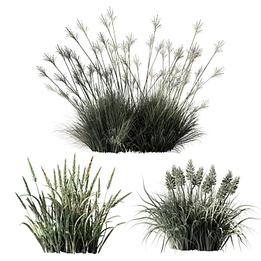 Variety Tall Grass - 25 Set 3D model image 1 