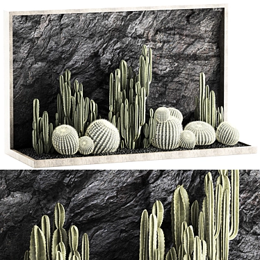 Desert Cacti Collection Set 3D model image 1 