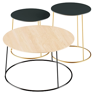 Gilded Heerenhuis Coffee Table 3D model image 1 