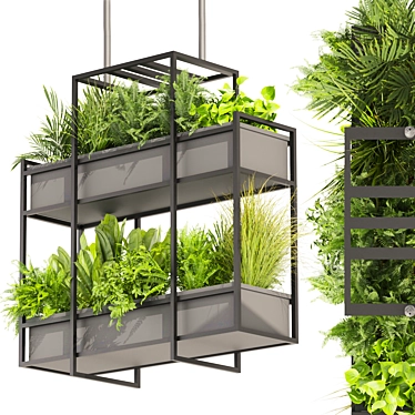 High-Quality Hanging Ampelous Plant 3D model image 1 