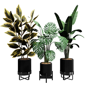 Botanical Beauty Collection: 2018 Version 3D model image 1 