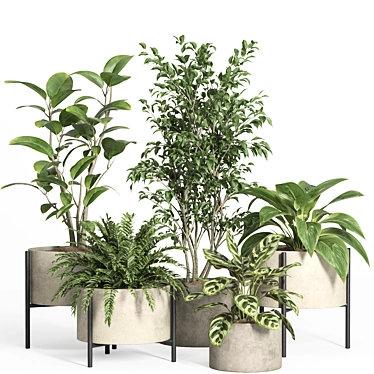 52-Piece Indoor Plant Set 3D model image 1 