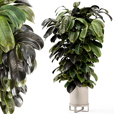 Modern Indoor Plants Set 3D 3D model image 1 