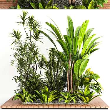  Indoor Plant Collection Vol. 47 3D model image 1 