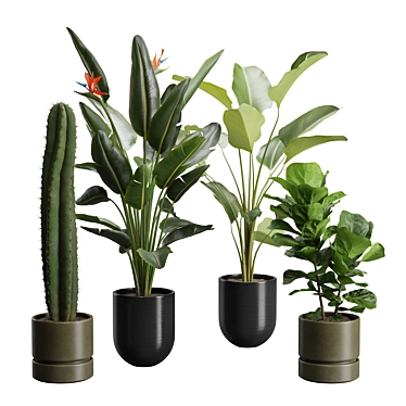 Exotic Indoor Plants Pack 47 3D model image 1 