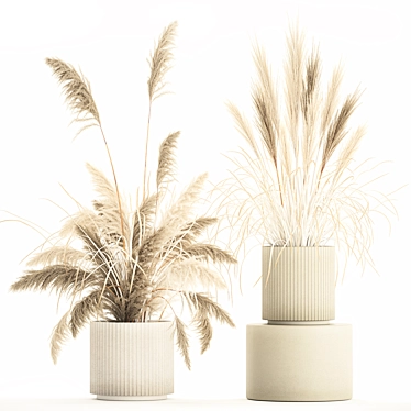 Beautiful White Pampas Grass Collection 3D model image 1 