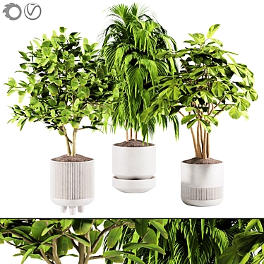 plant collection set 15