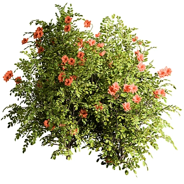 Blooming Bush Set 113 3D model image 1 