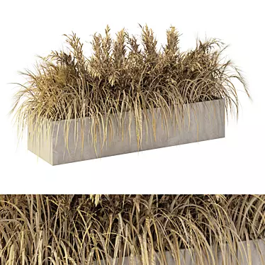 Natural Outdoor Pampas Grass Decor 3D model image 1 