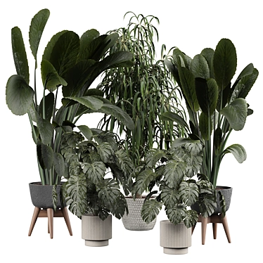 Modern Indoor Plant 3D Model 3D model image 1 