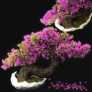 Blossom Bonsai Tree Set - V-Ray 3D model image 1 