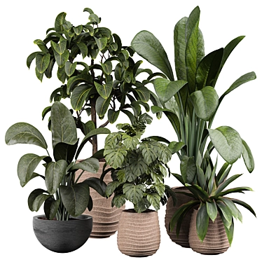 Lush Indoor Plant 3D Model 3D model image 1 