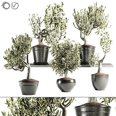 plant collection set 17