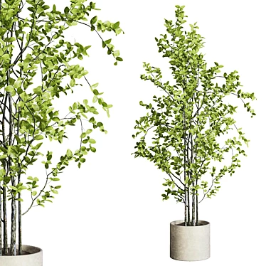 Concrete Vase Branch Tree Set 3D model image 1 